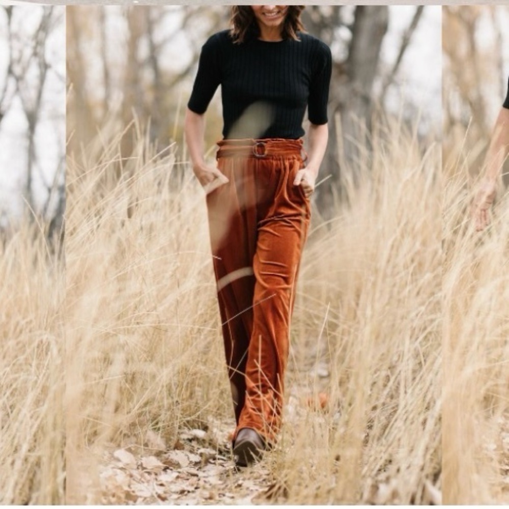 Oat New York Velvet Wide Leg Pants Rust Boho 70s High Waist NWT